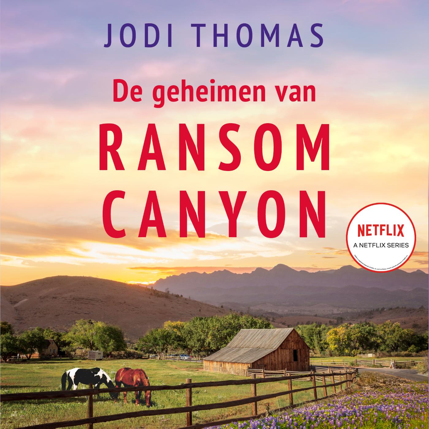 Omslag van De geheimen van Ransom Canyon