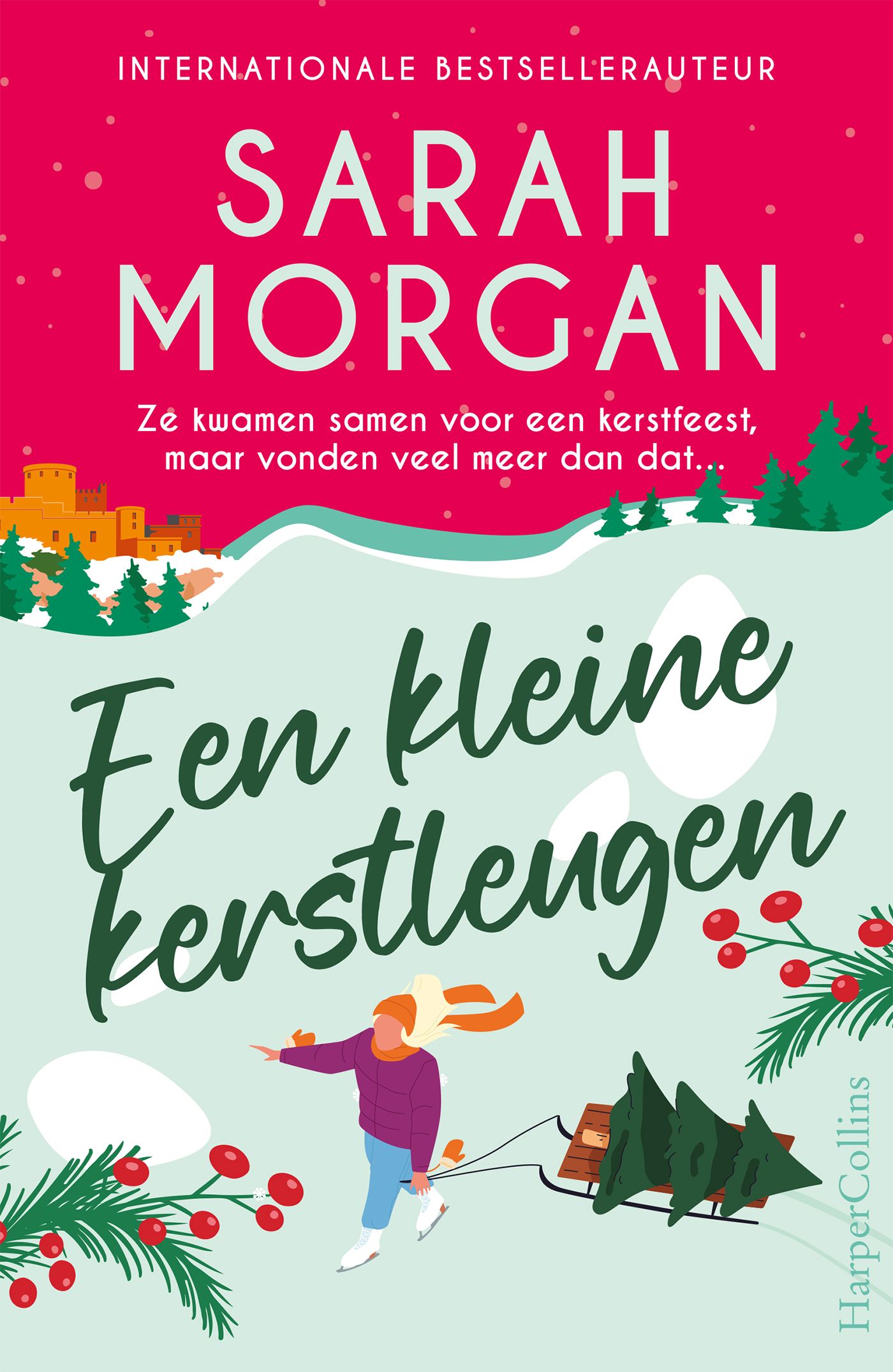 Omslag van Een kleine kerstleugen