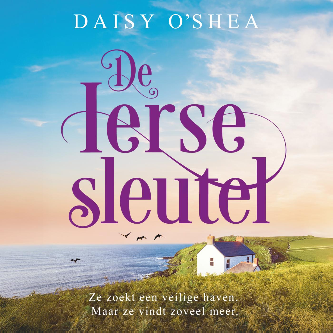 Omslag van De Ierse sleutel