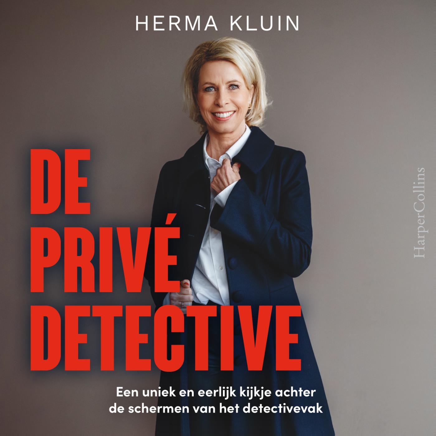 Omslag van De privédetective