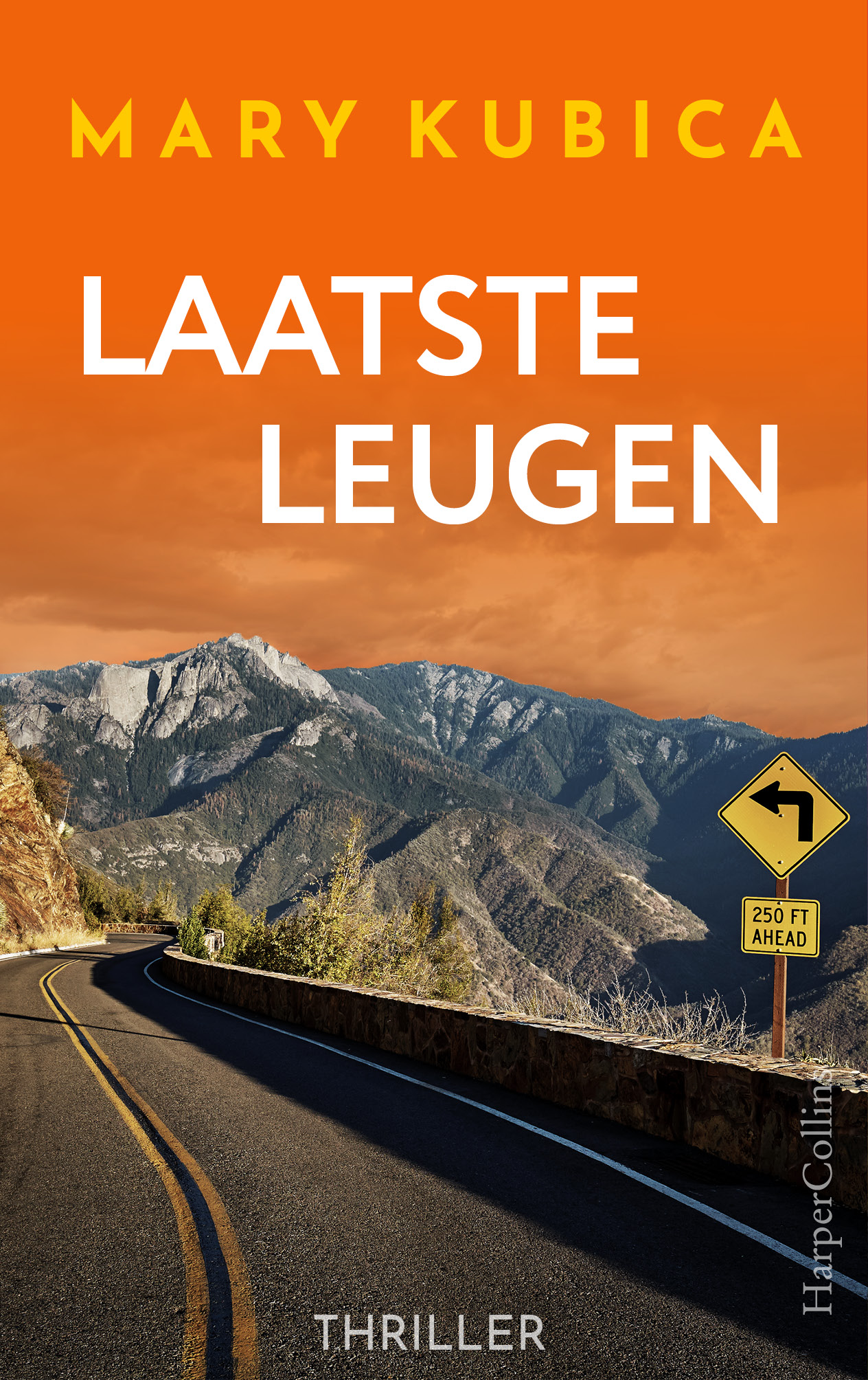 Omslag van Laatste leugen