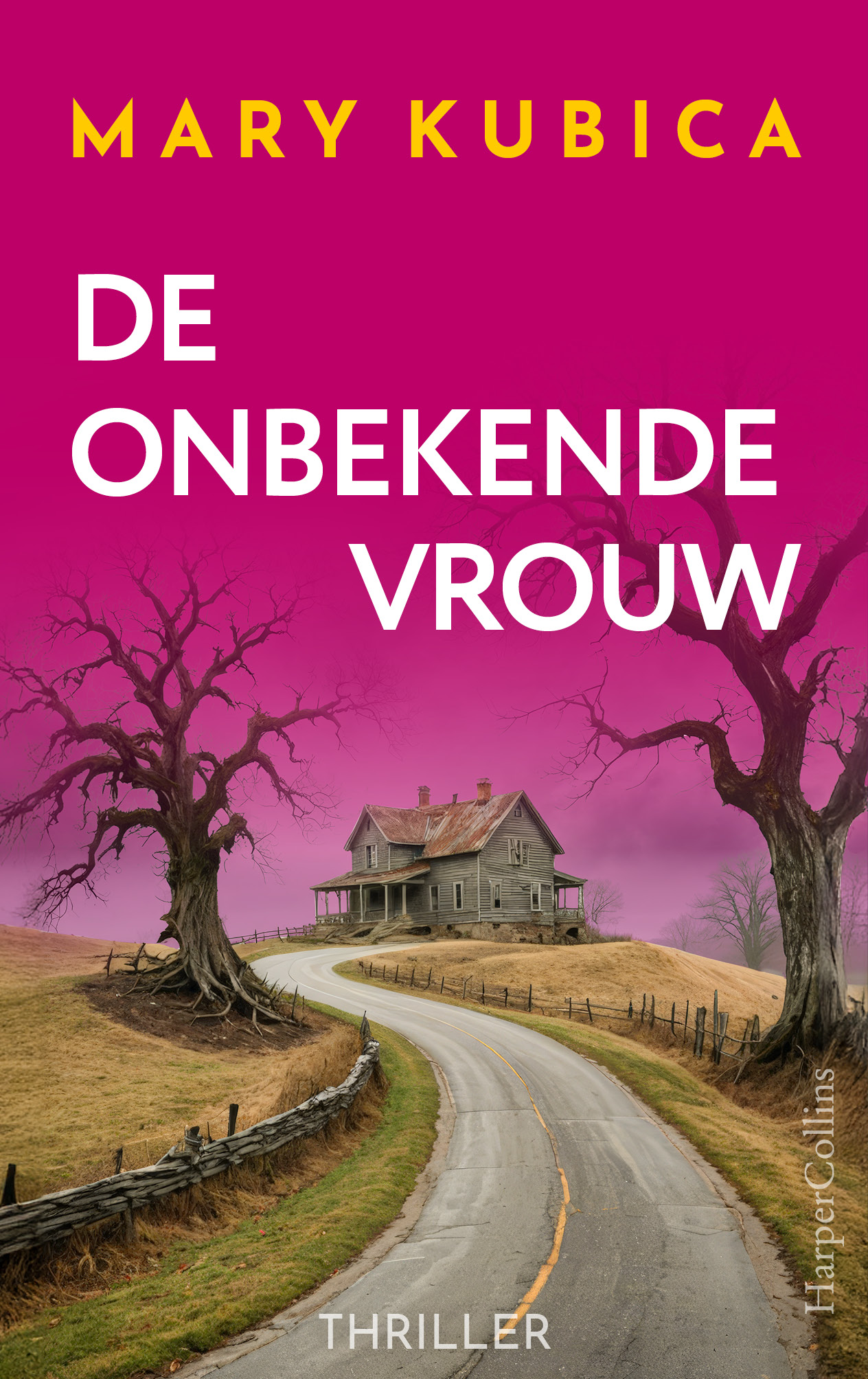 Omslag van De onbekende vrouw