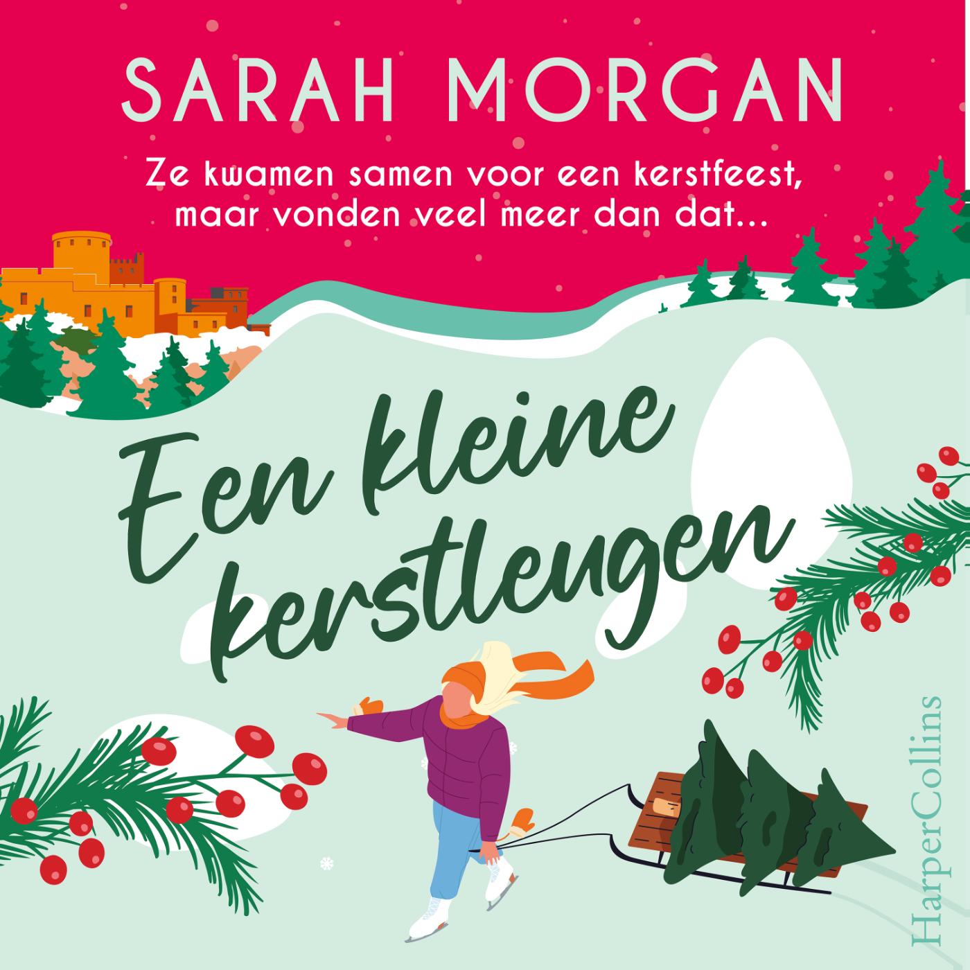 Omslag van Een kleine kerstleugen