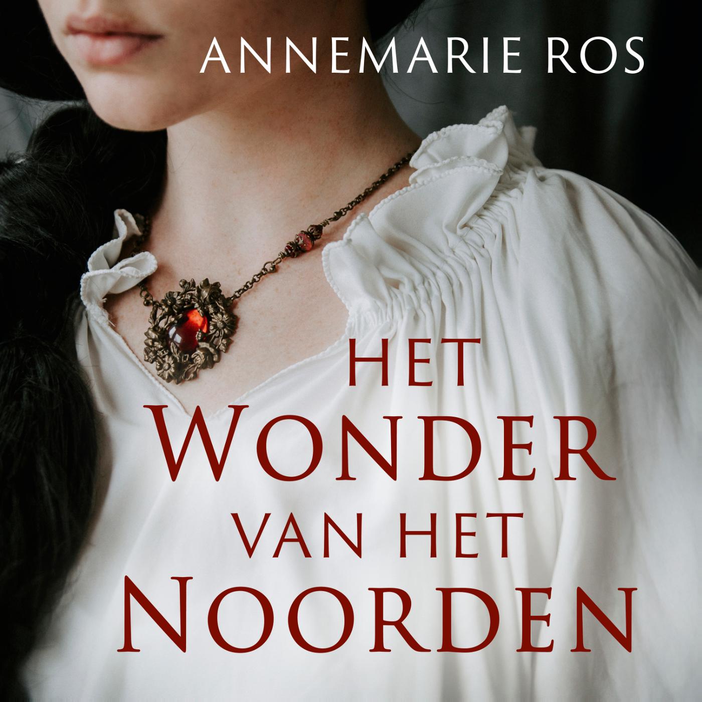 Omslag van Het wonder van het noorden