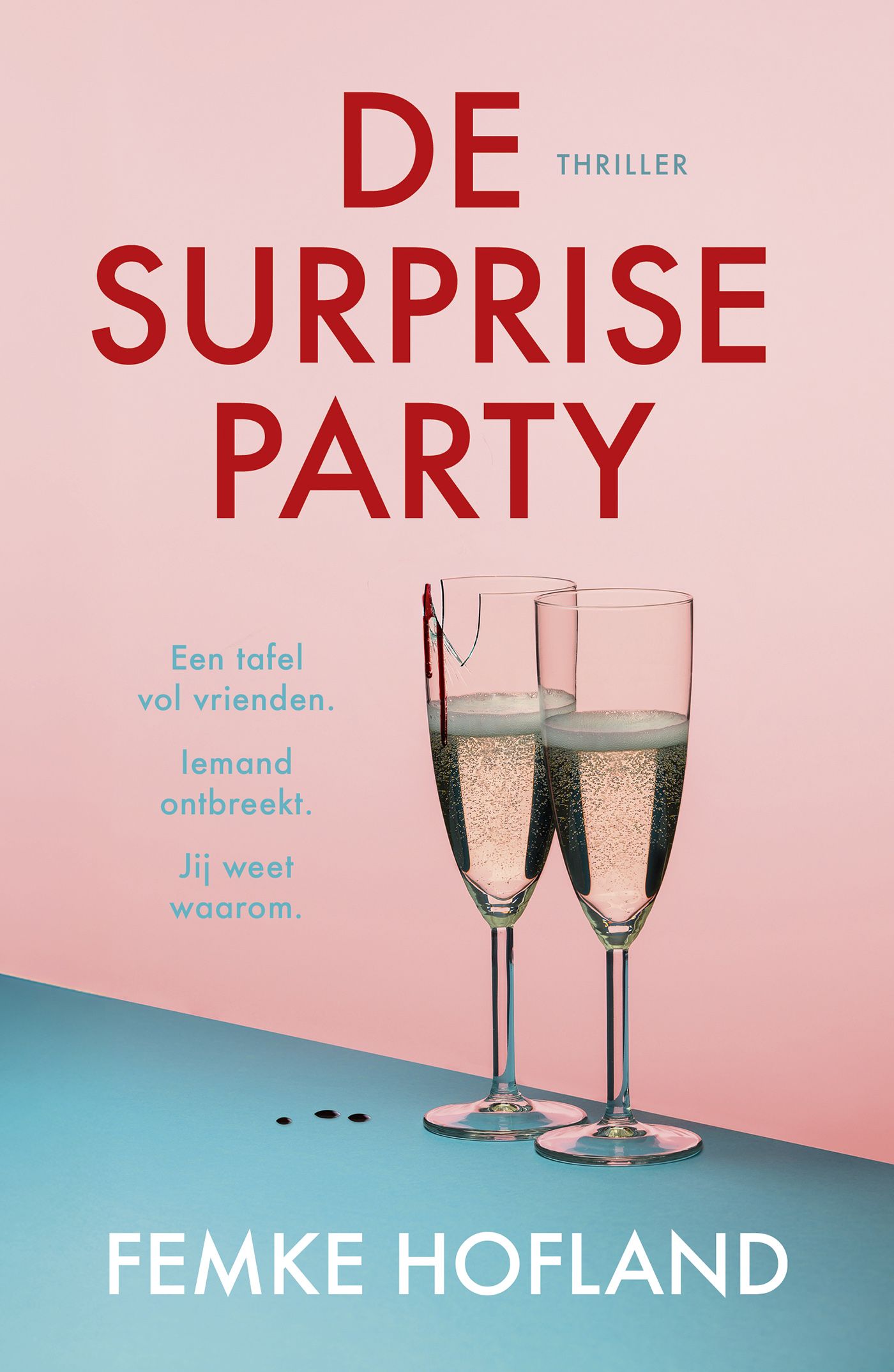 Omslag van De surpriseparty