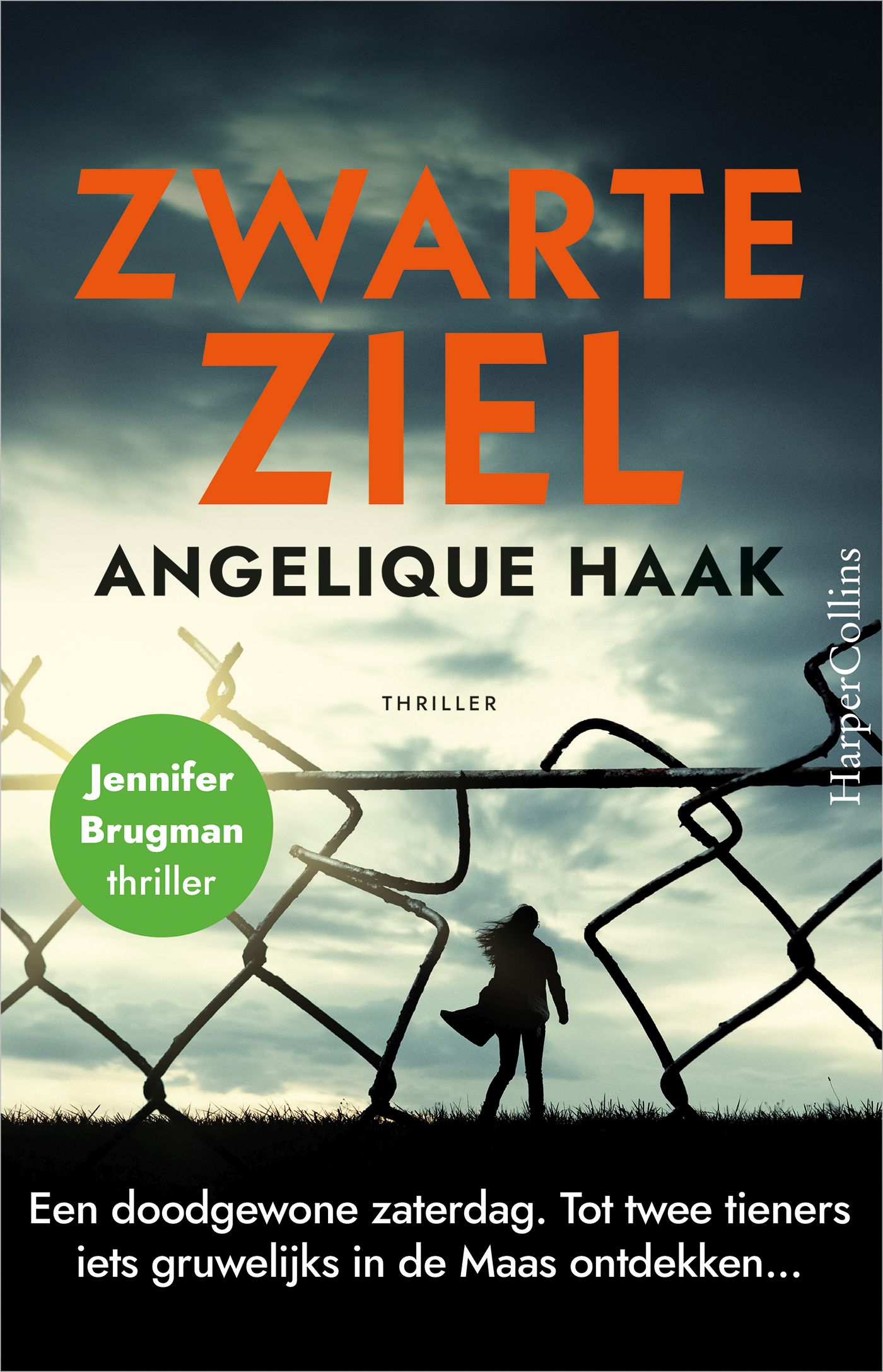 Omslag van Zwarte ziel