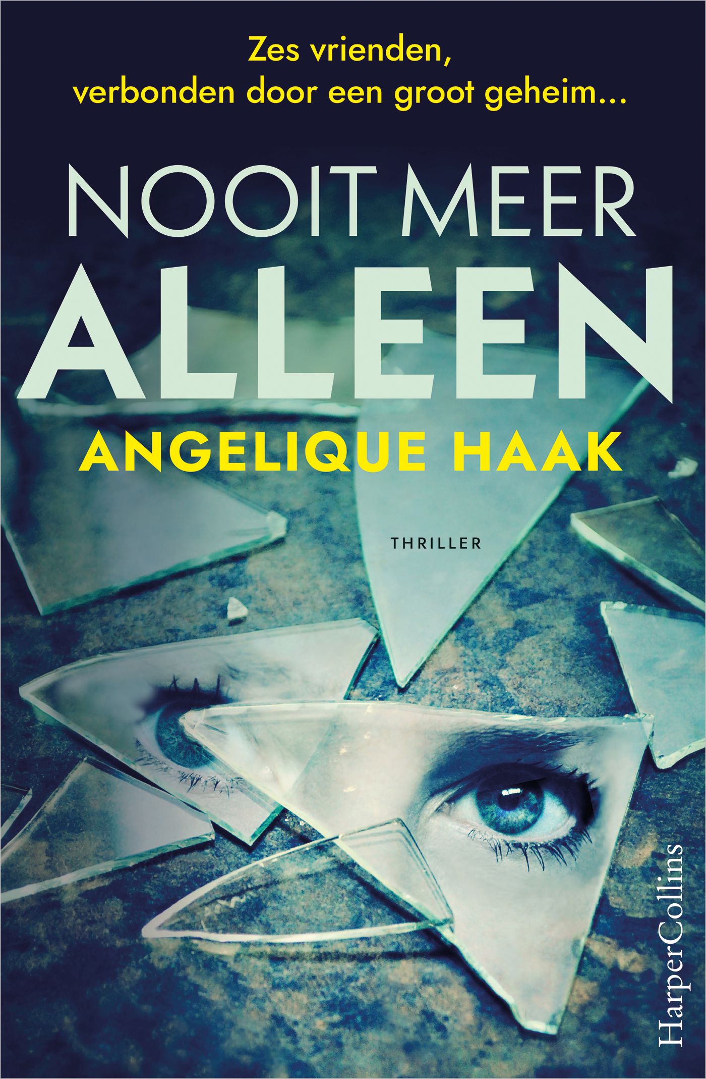 Omslag van Nooit meer alleen