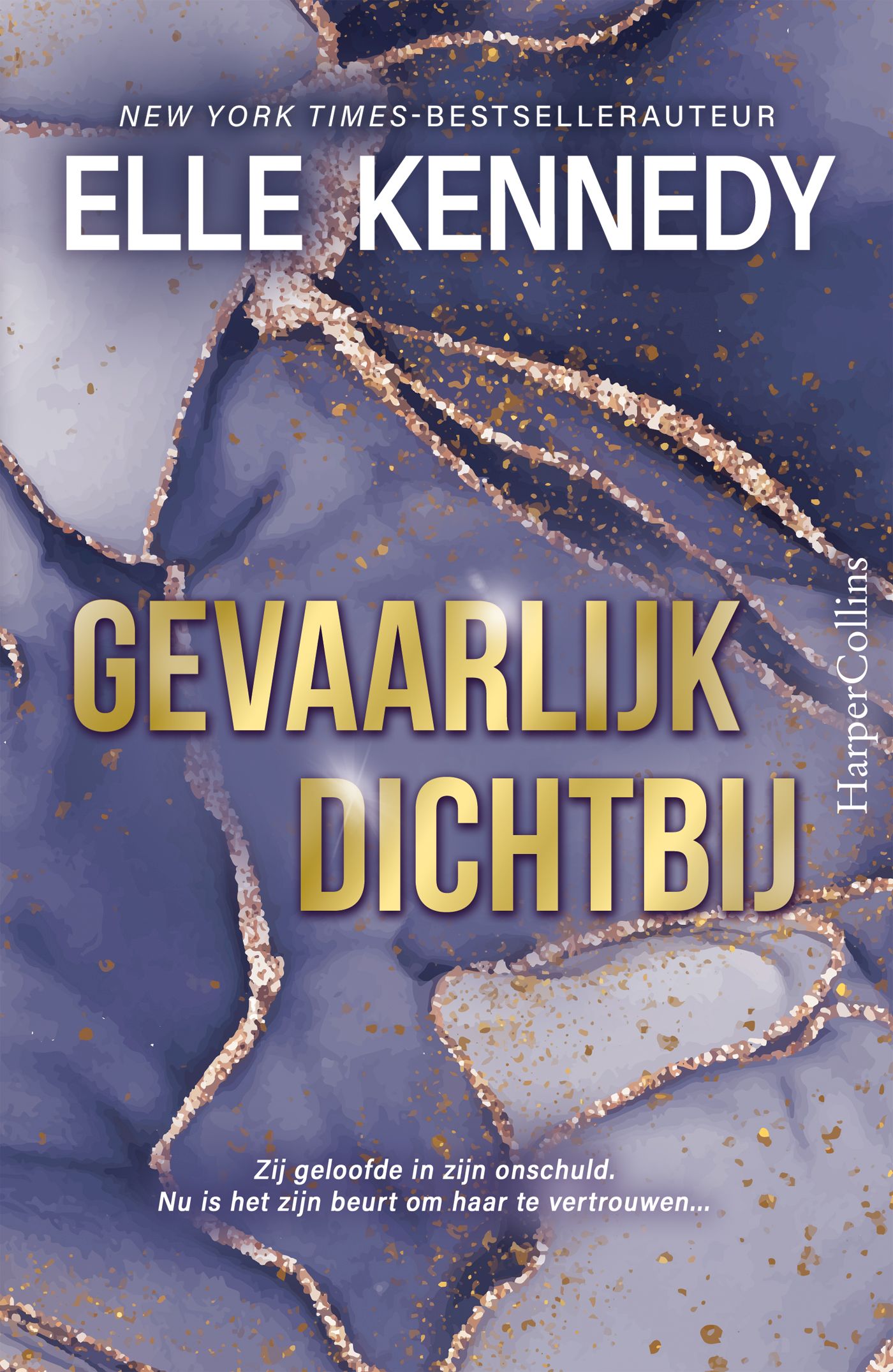 Omslag van Gevaarlijk dichtbij