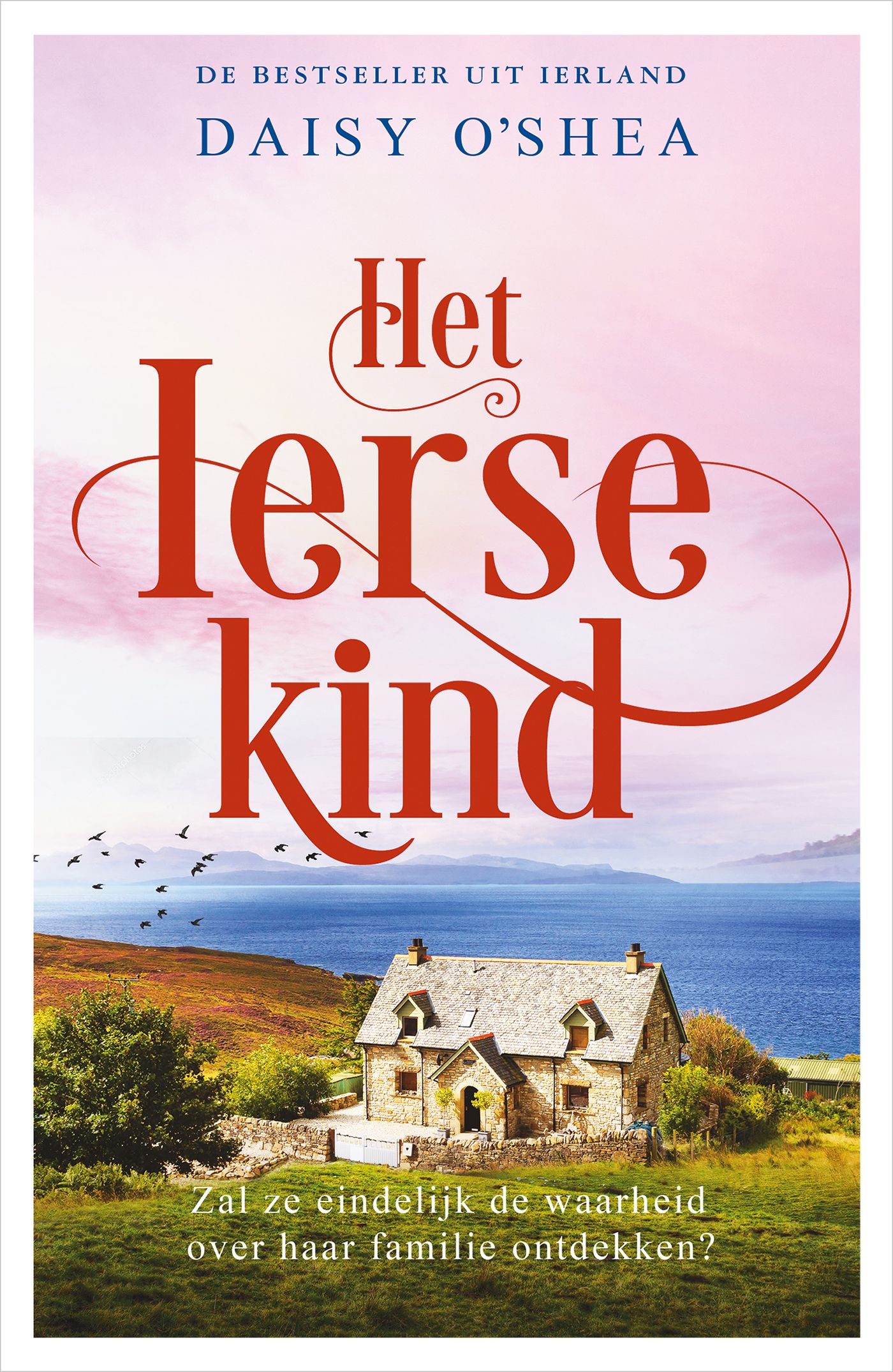 Omslag van Het Ierse kind