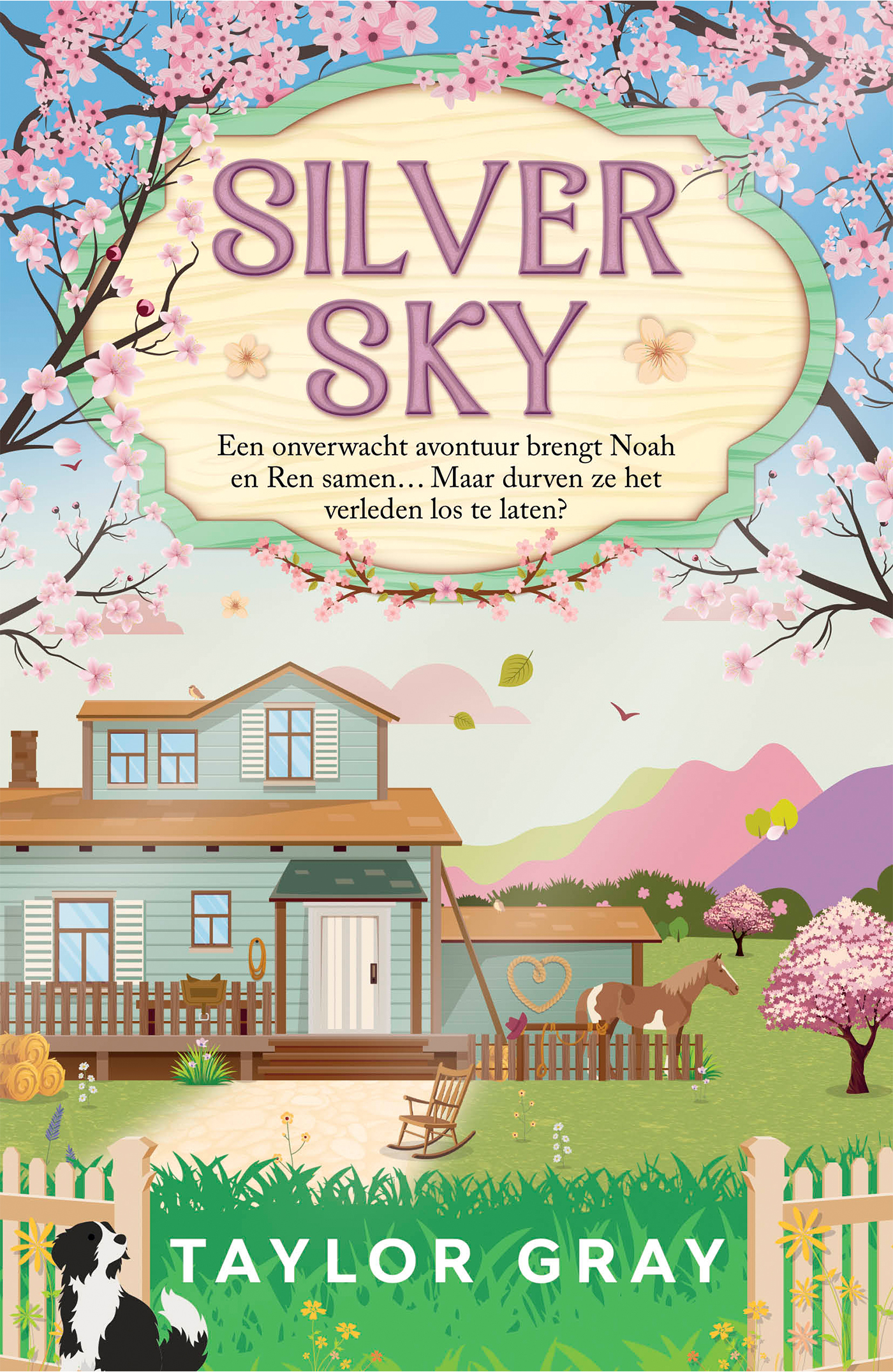 Omslag van Silver Sky