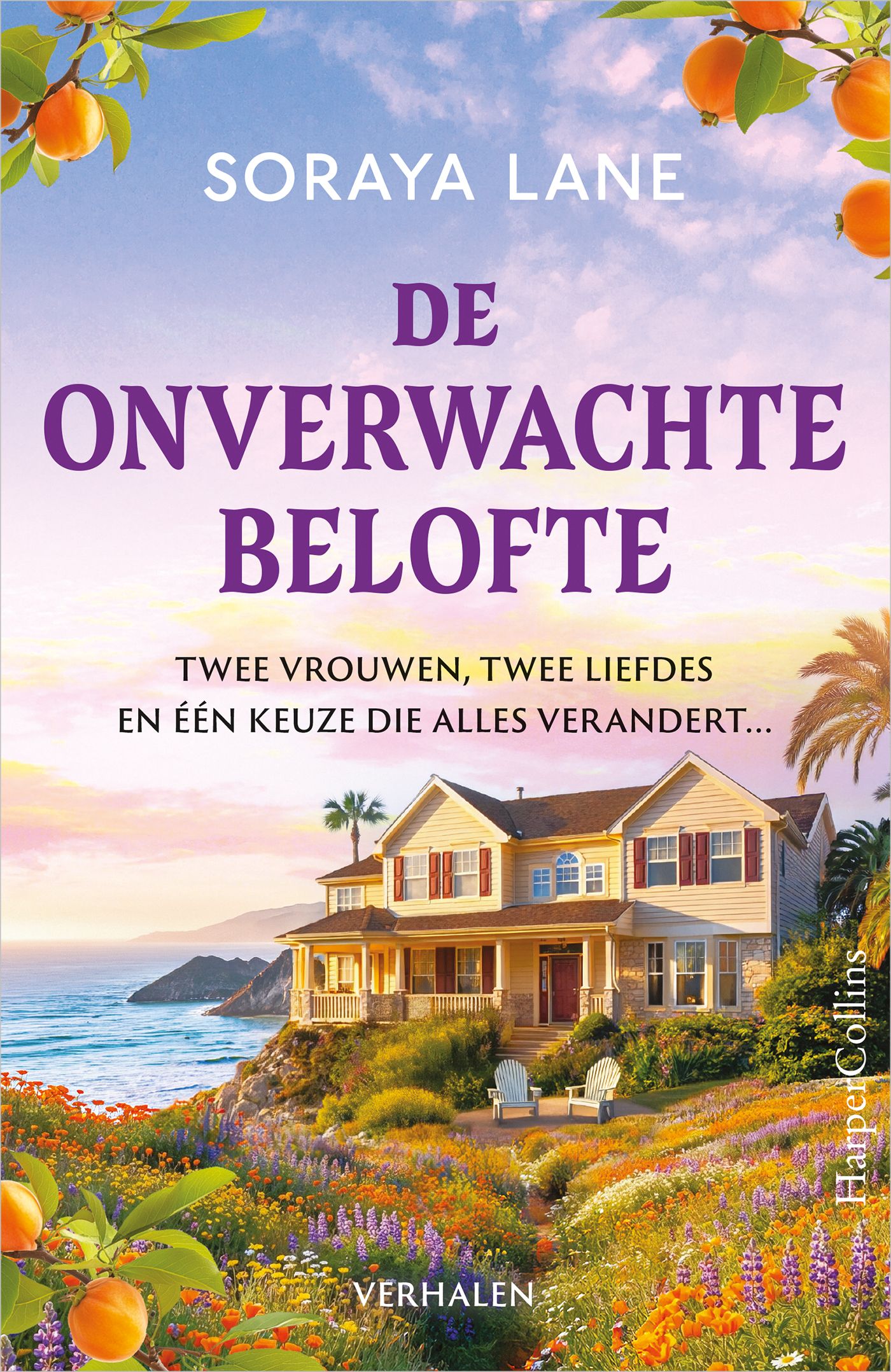 Omslag van De onverwachte belofte