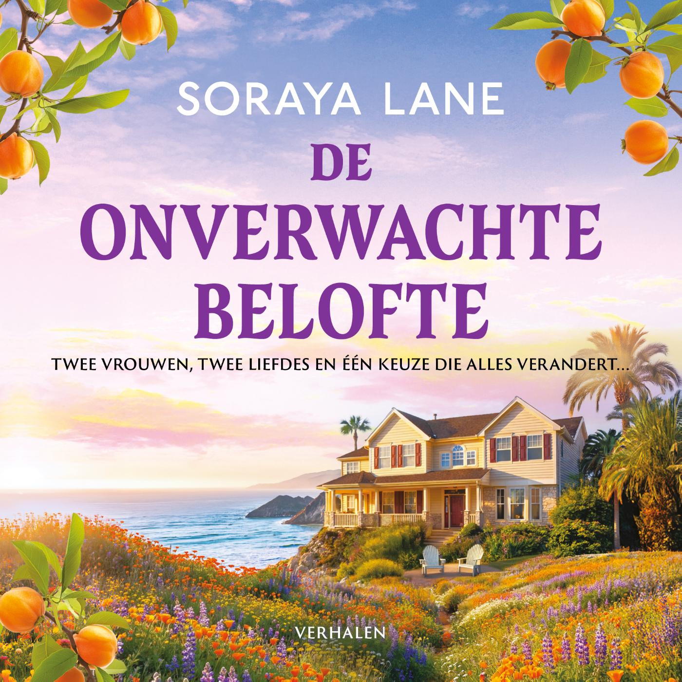 Omslag van De onverwachte belofte