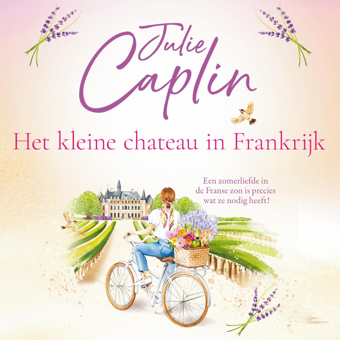 Omslag van Het kleine chateau in Frankrijk
