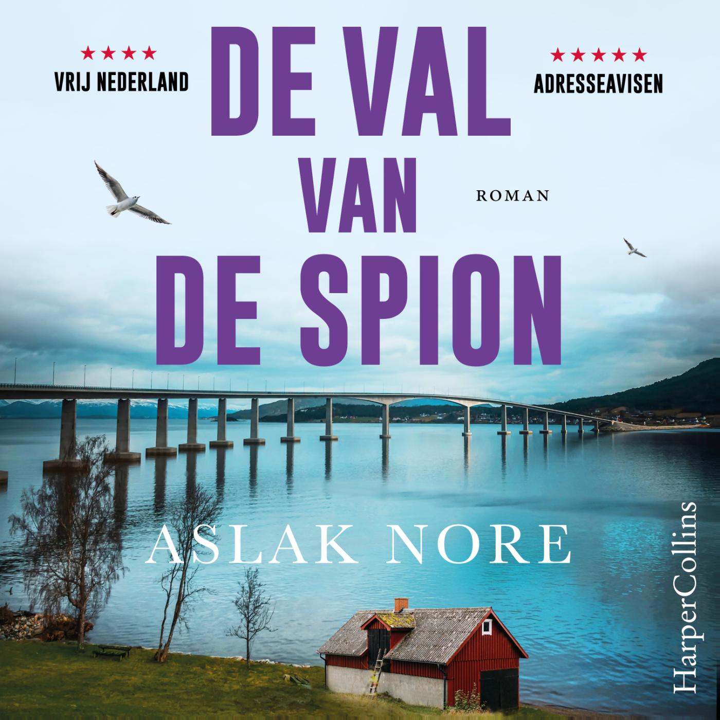 Omslag van De val van de spion