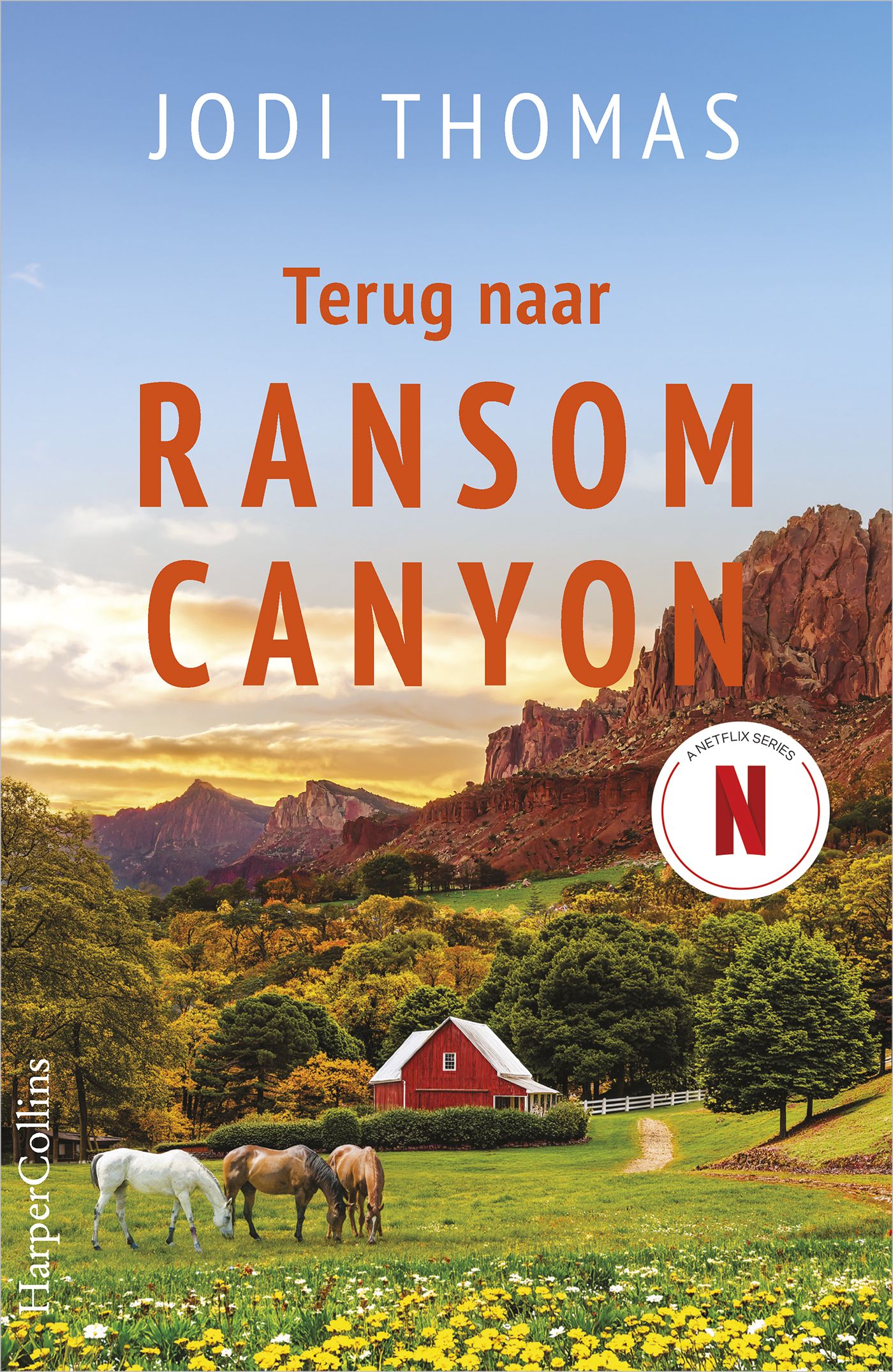 Omslag van Terug naar Ransom Canyon