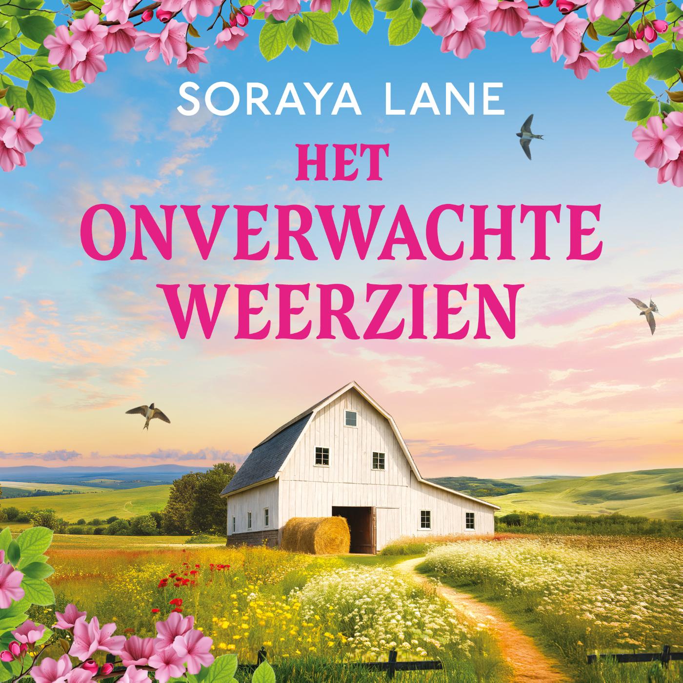 Omslag van Het onverwachte weerzien
