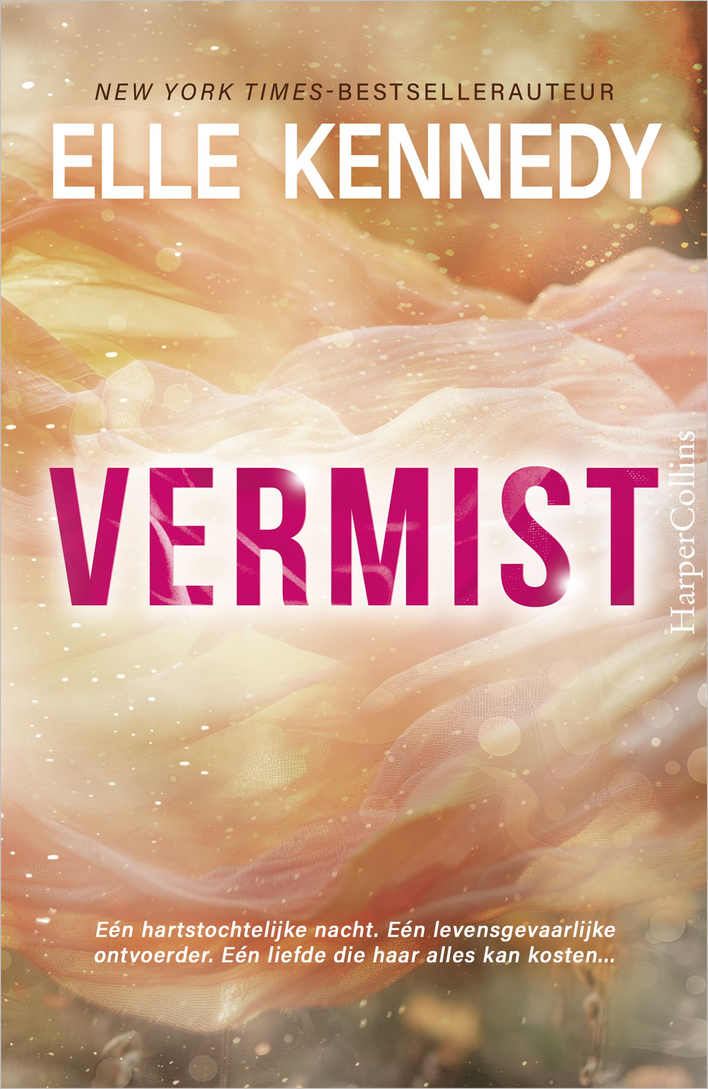 Omslag van Vermist