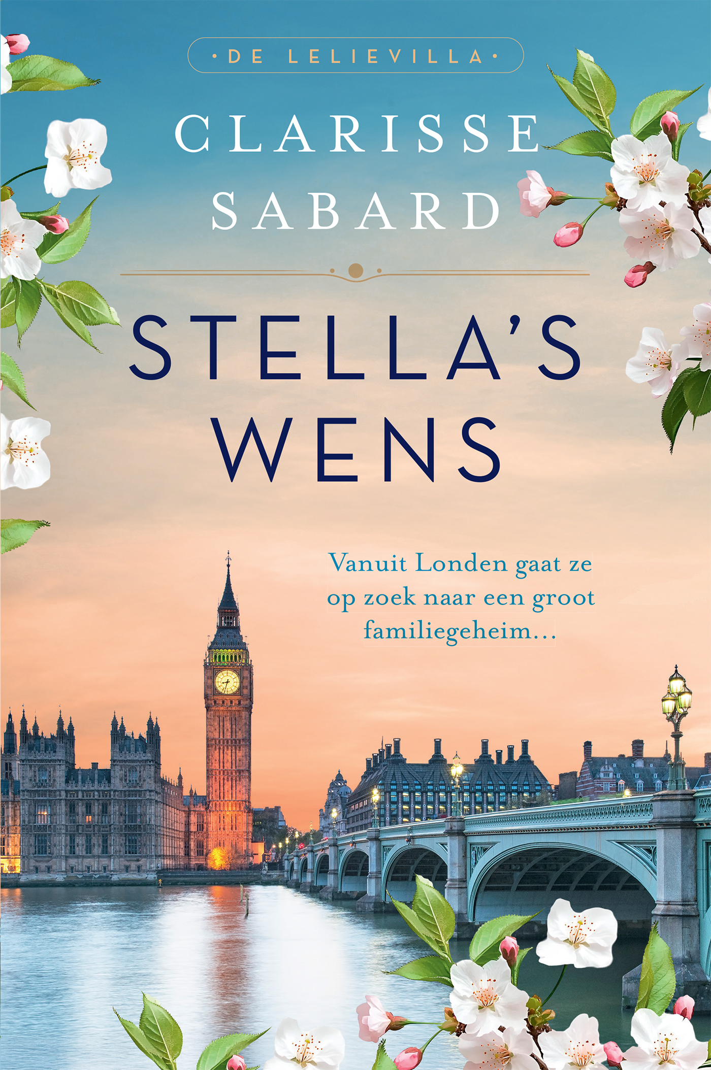 Omslag van Stella's wens