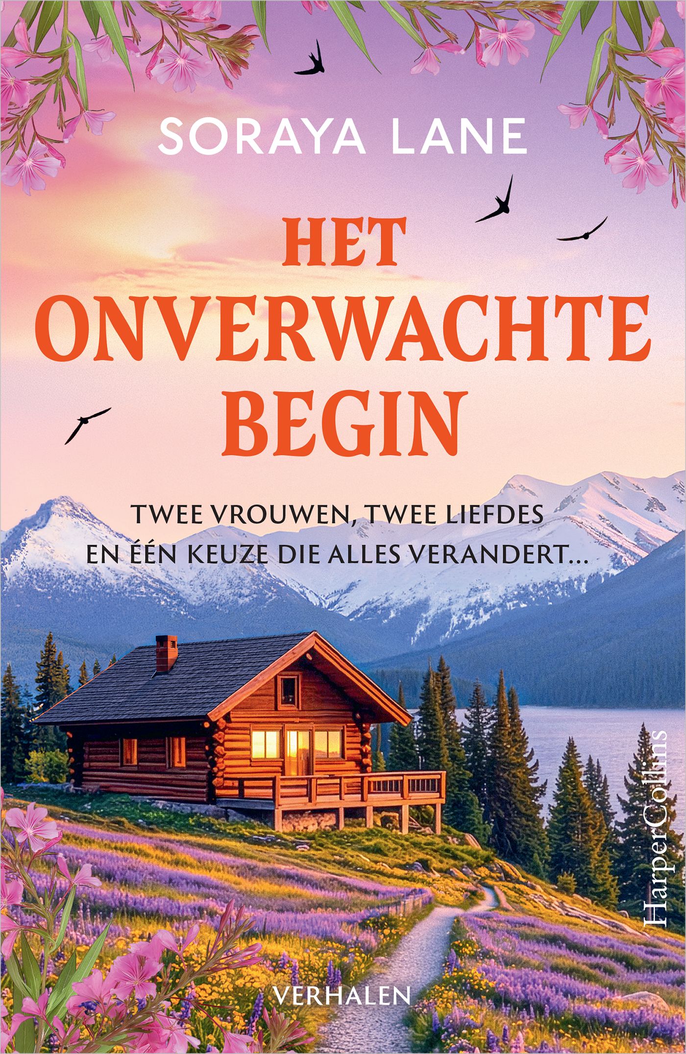 Omslag van Het onverwachte begin