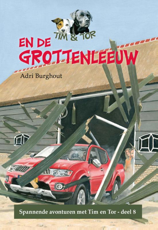 Omslag van De grottenleeuw
