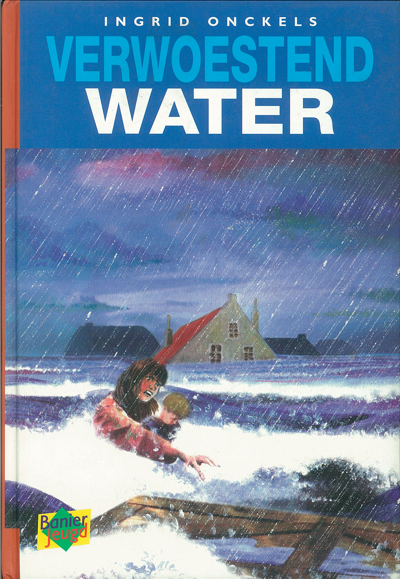 Omslag van Verwoestend water