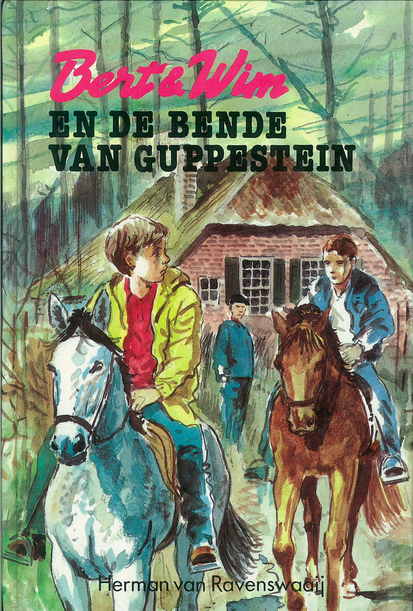 Omslag van Bert & Wim en de bende van Guppenstein
