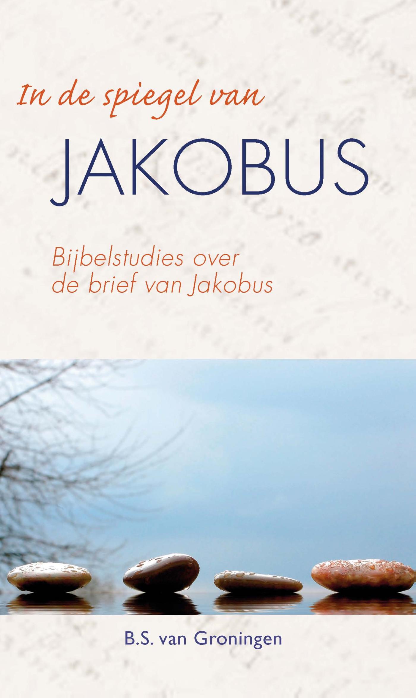 Omslag van In de spiegel van Jakobus