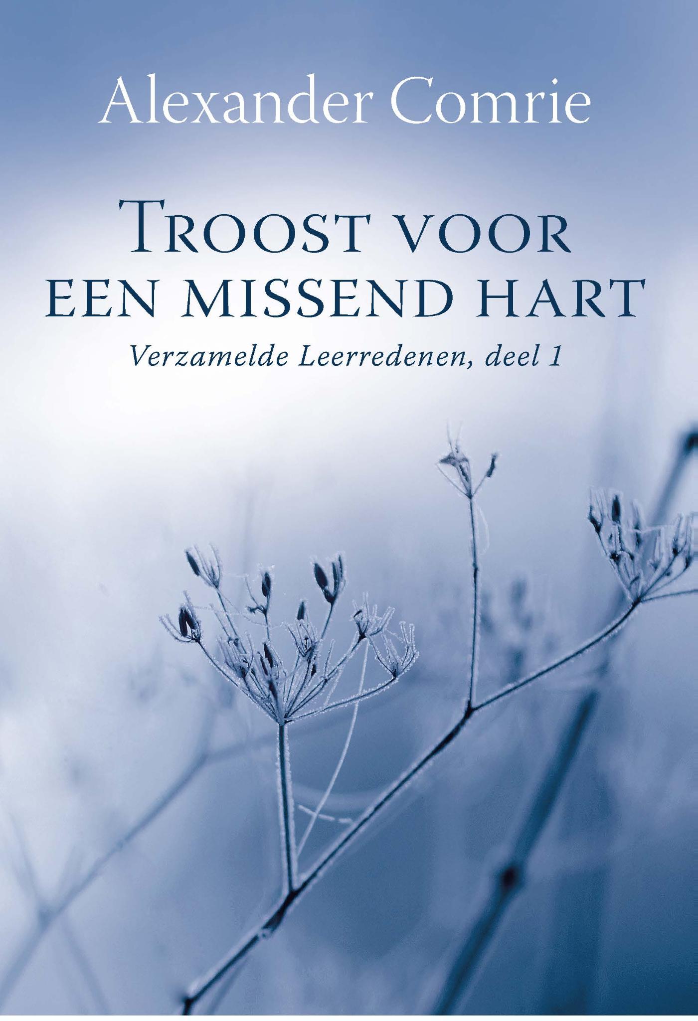 Omslag van Troost voor een missend hart