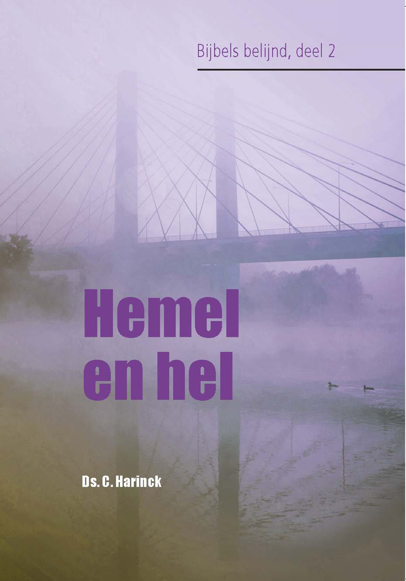 Omslag van Hemel en hel