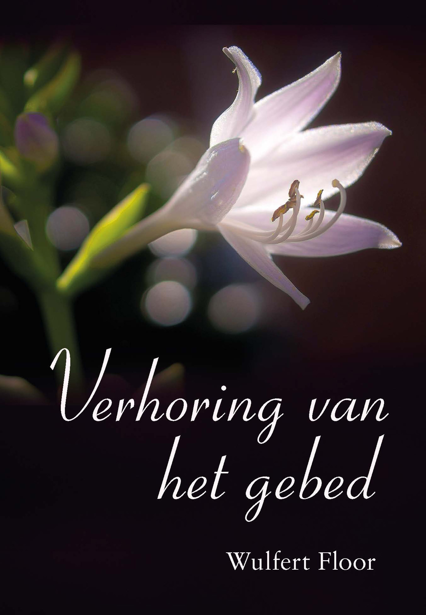 Omslag van Verhoring van het gebed