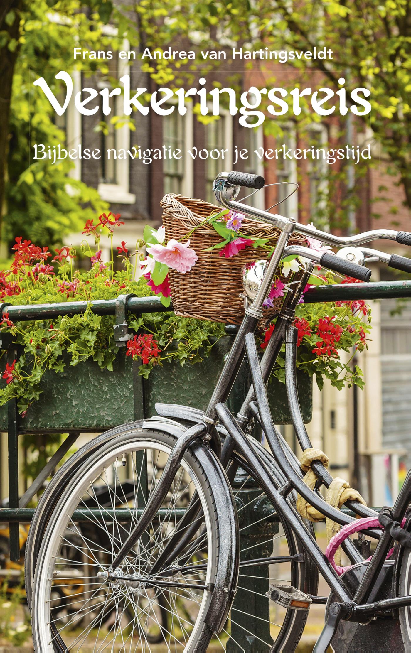 Omslag van Verkeringsreis
