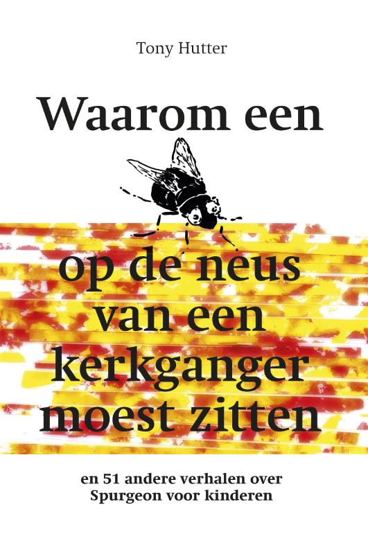 Omslag van Waarom een vlieg op de neus van een kerkganger ging zitten