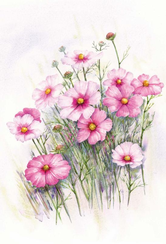 Omslag van Wenskaart Roze bloemen met envelop