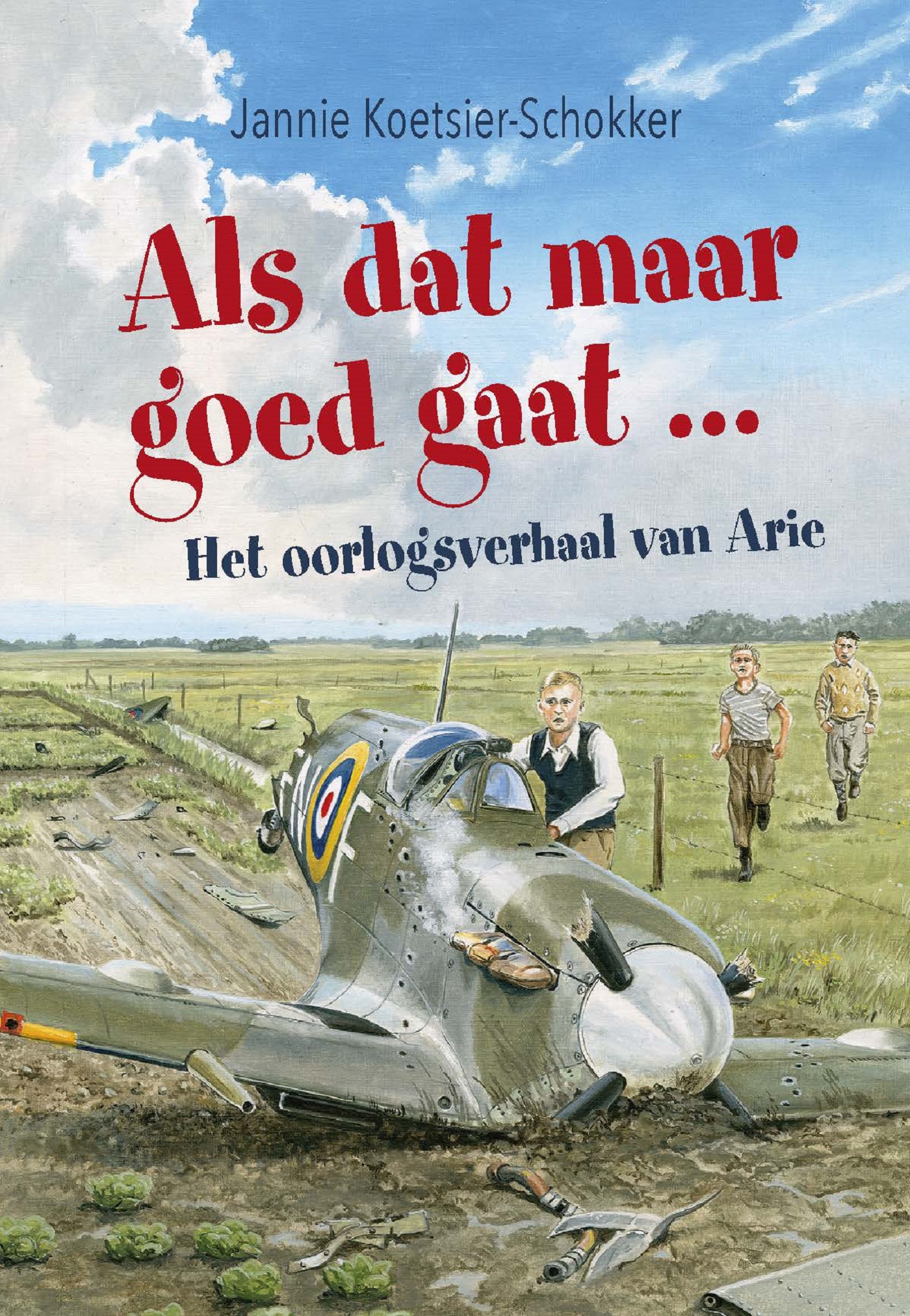 Omslag van Als dat maar goed gaat ...