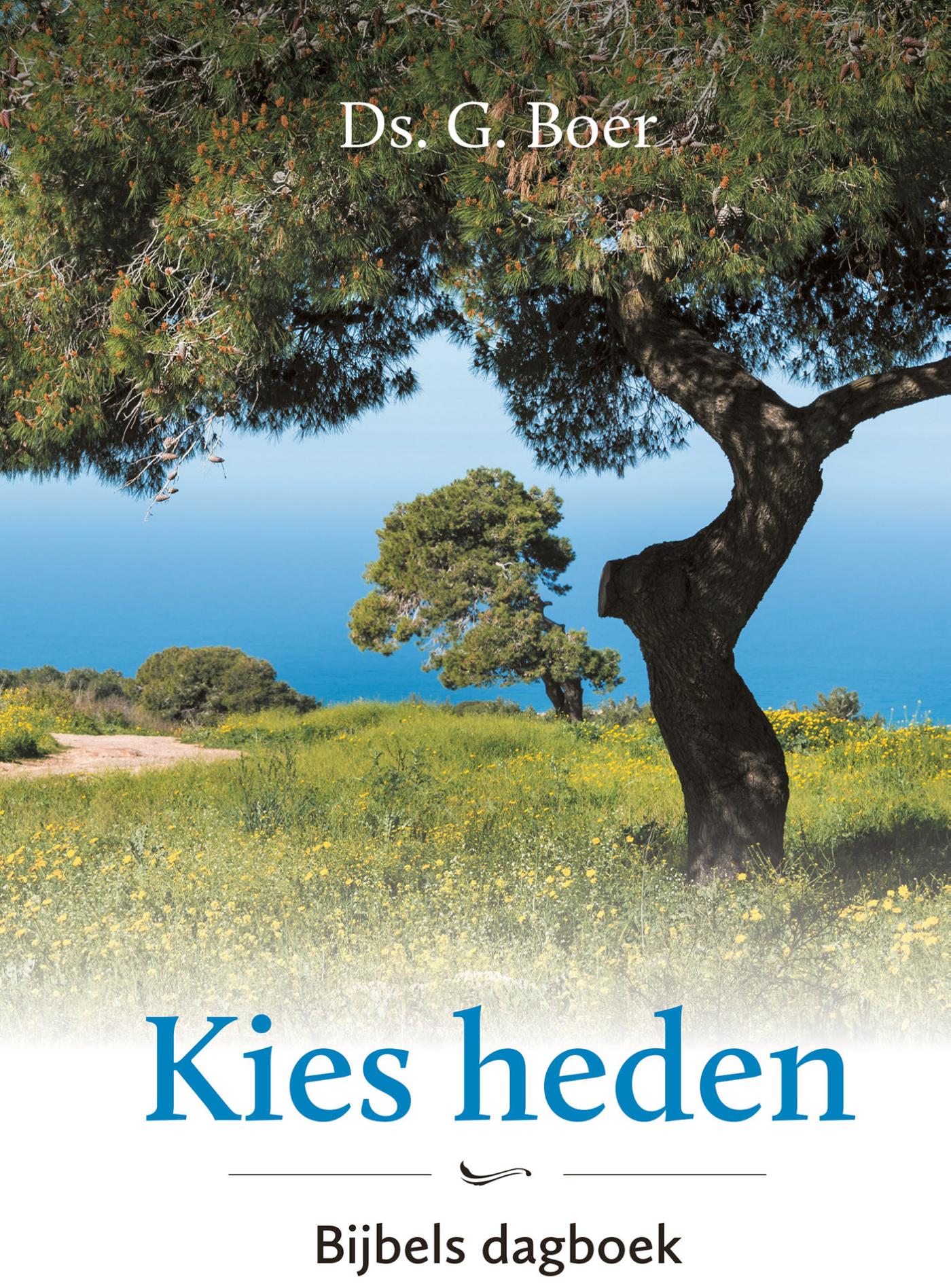 Omslag van Kies heden