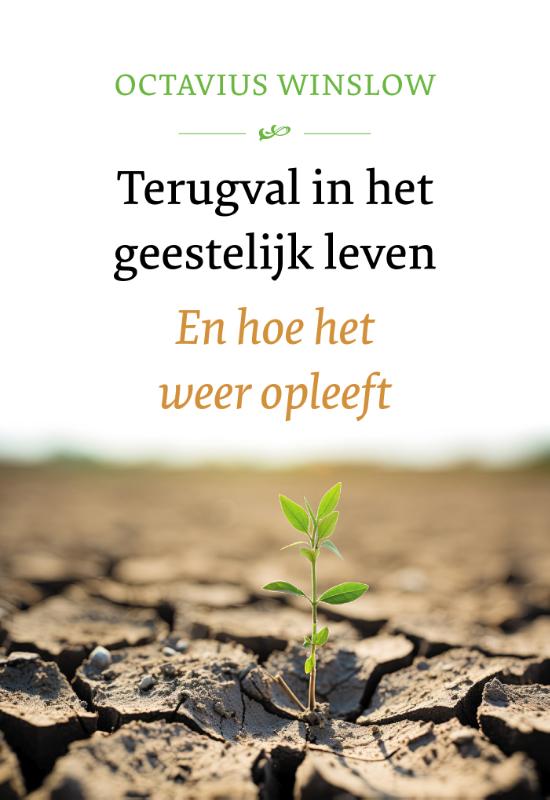 Omslag van Terugval in het geestelijk leven