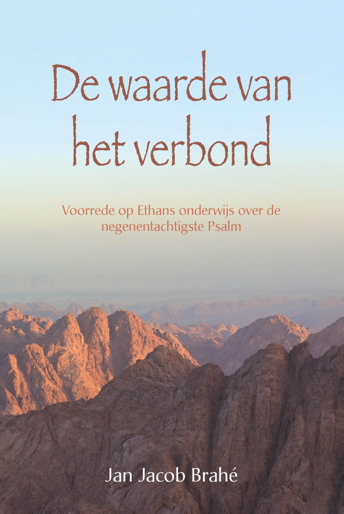 Omslag van De waarde van het verbond