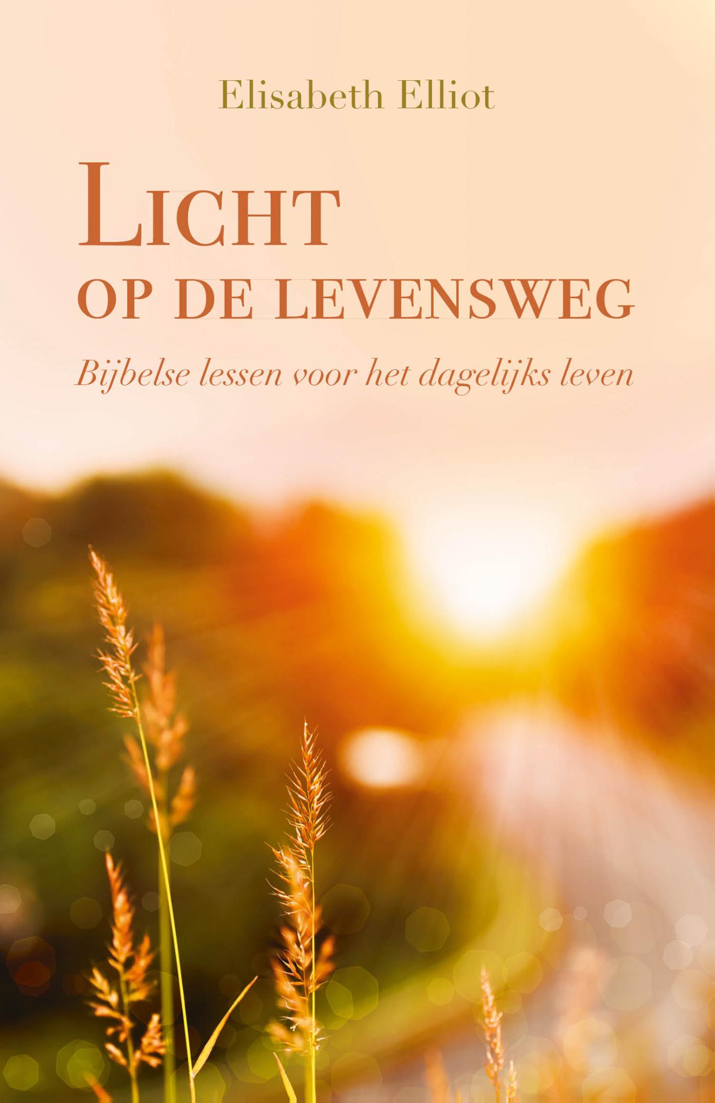 Omslag van Licht op de levensweg