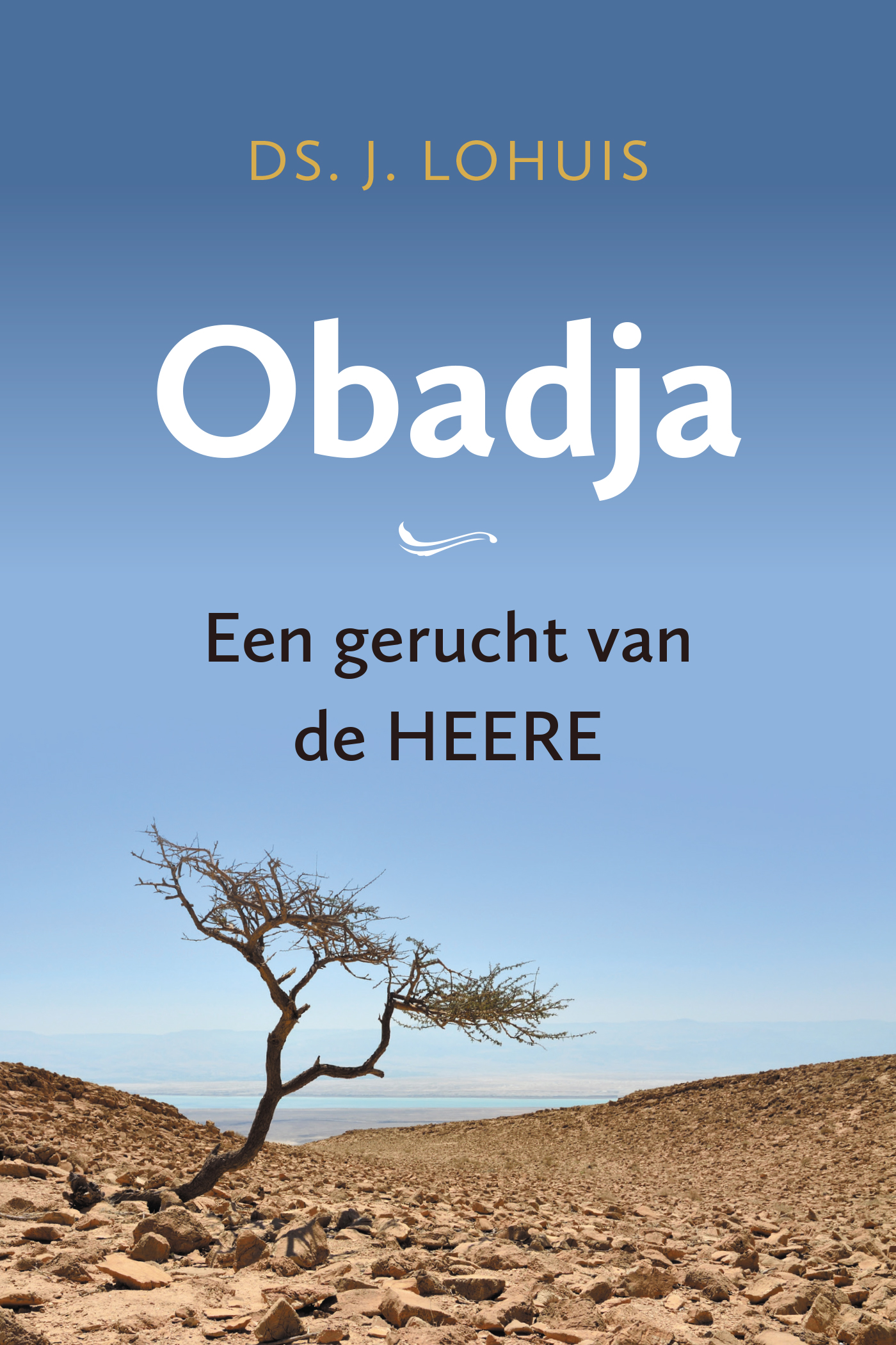 Omslag van Obadja