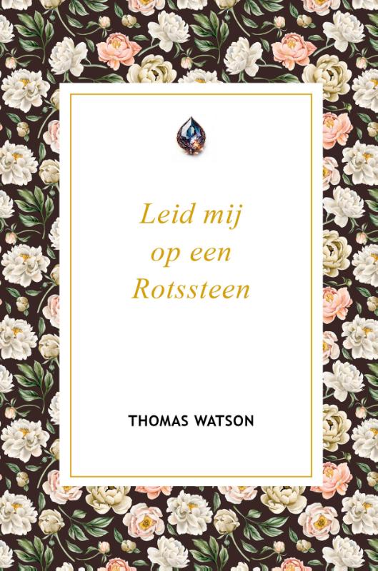 Omslag van Leid mij op een Rotssteen