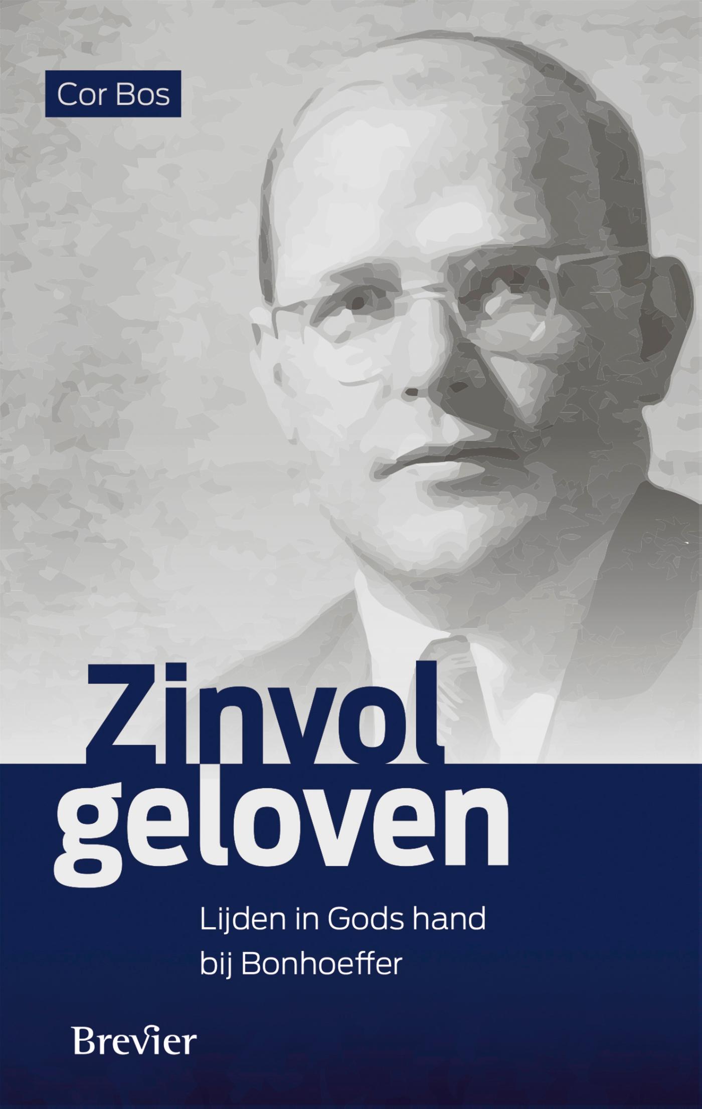 Omslag van Zinvol geloven