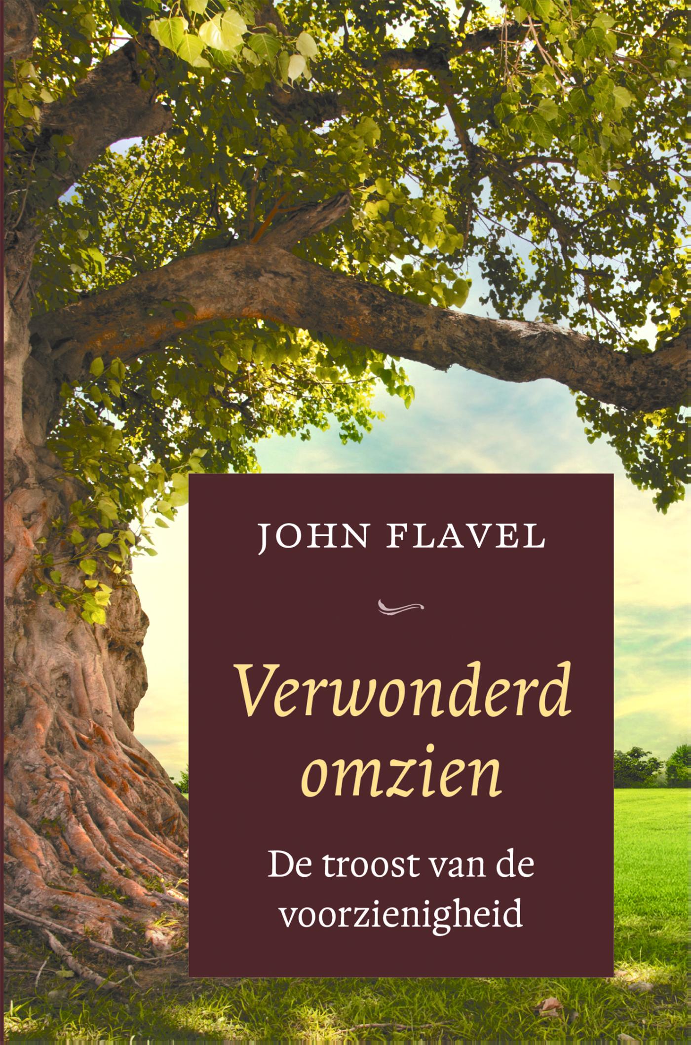 Omslag van Verwonderd omzien