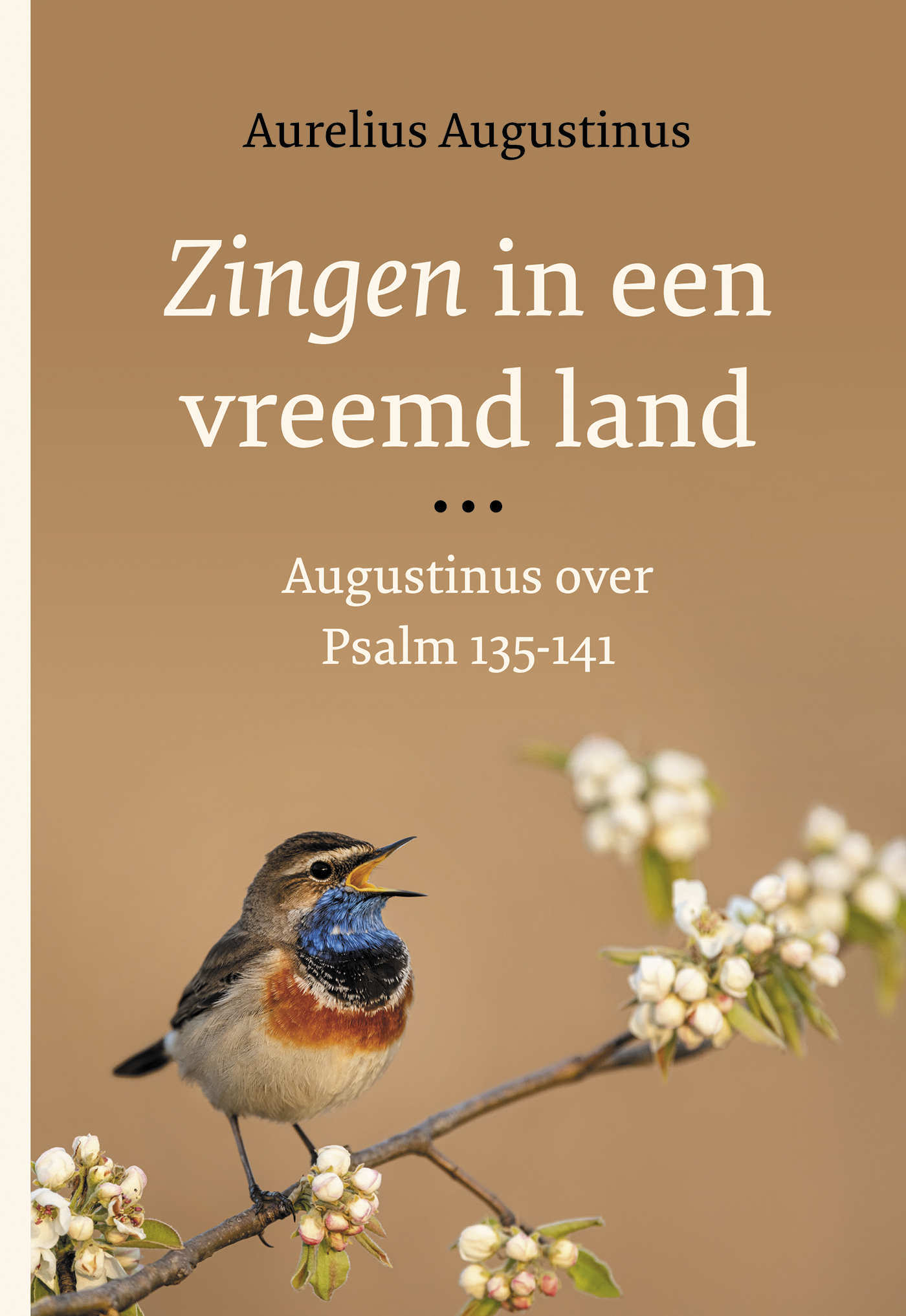 Omslag van Zingen in een vreemd land