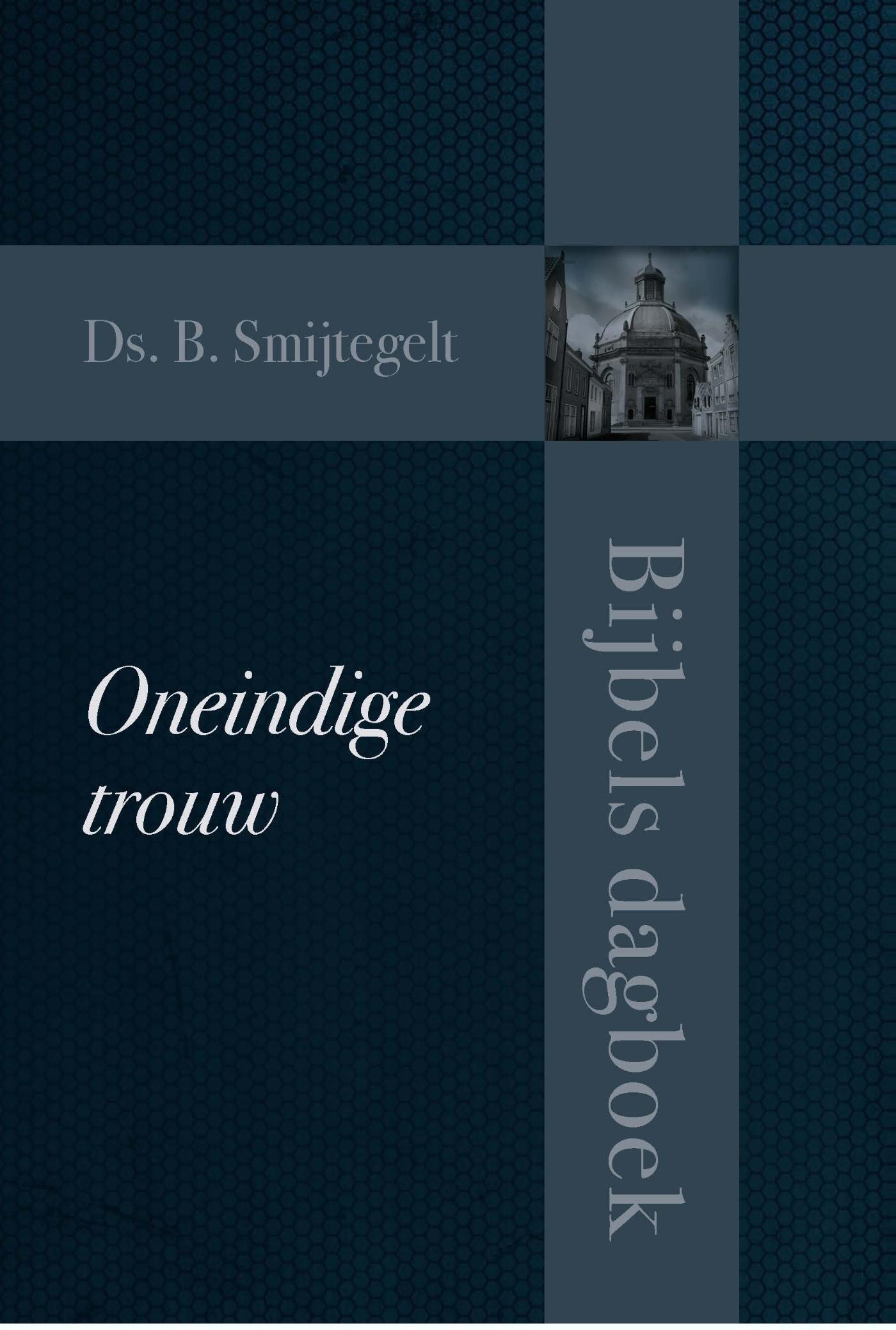 Omslag van Oneindige trouw