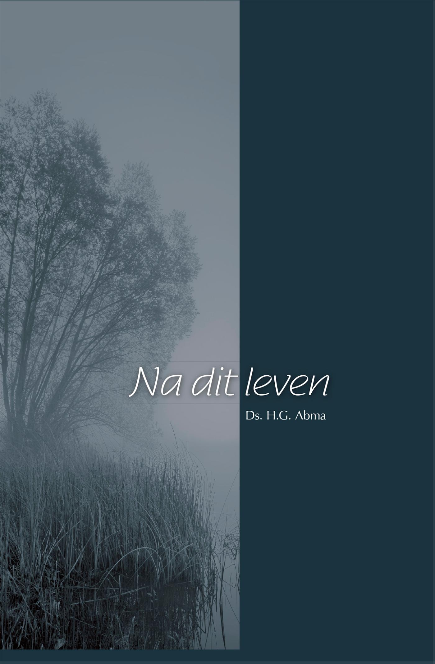 Omslag van Na dit leven