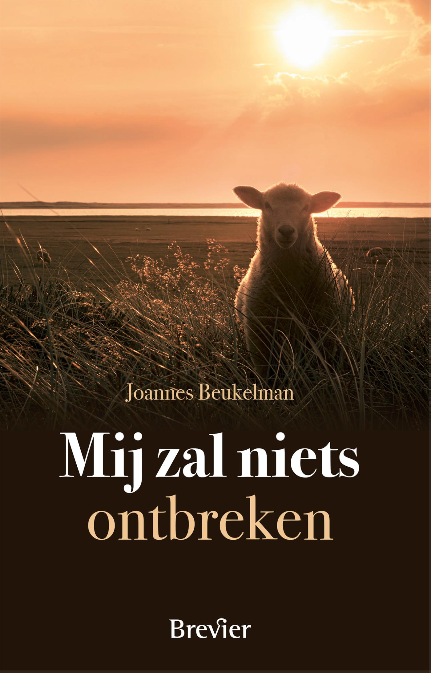 Omslag van Mij zal niets ontbreken