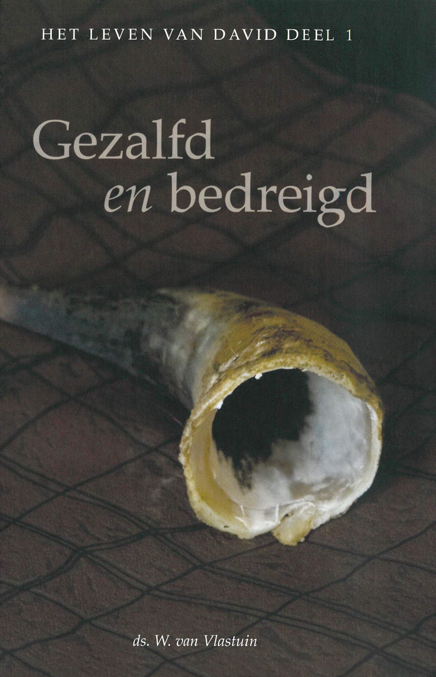 Omslag van Gezalfd en bedreigd