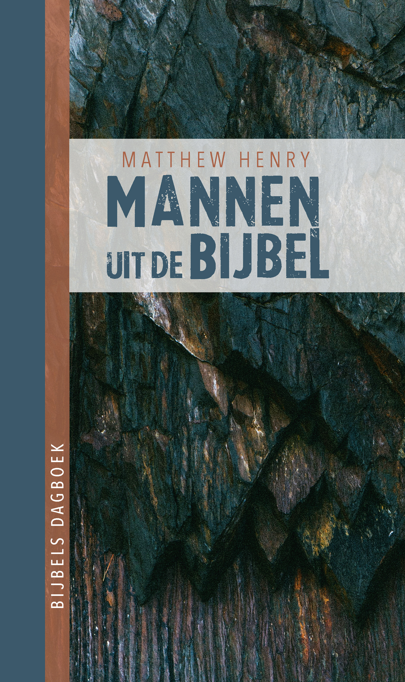 Omslag van Mannen uit de Bijbel