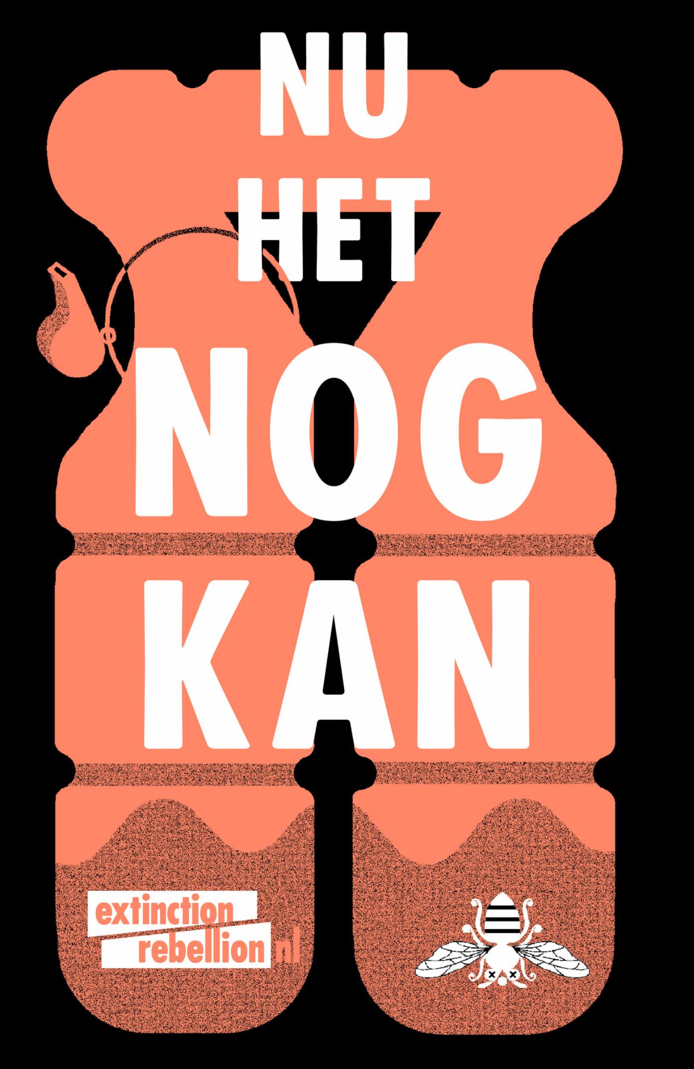 Omslag van Nu het nog kan