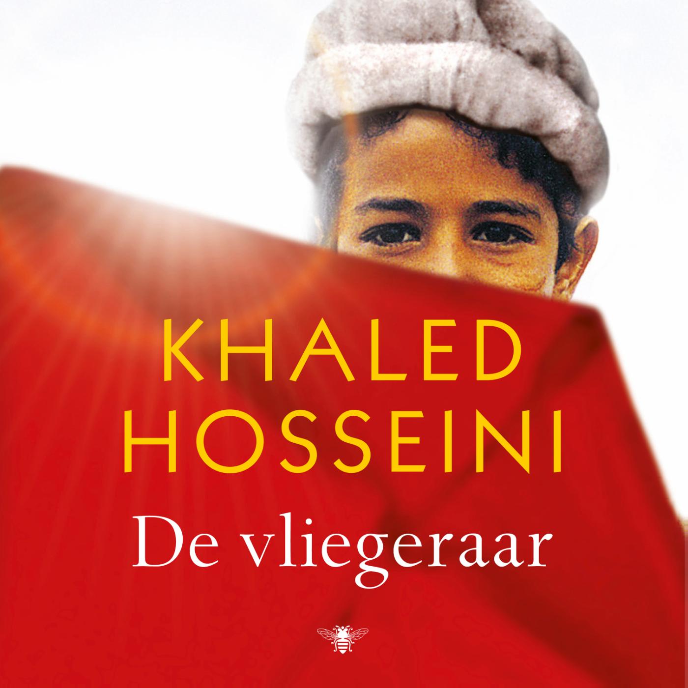 Omslag van De vliegeraar